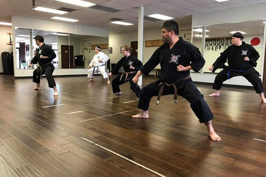 Image 2 from Oliver Karate Academy partner gallery