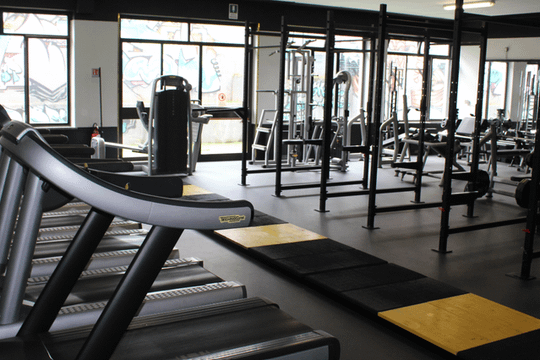 Immagine 1 dalla galleria del partner Palestra 10040