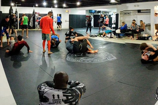 Image 3 from Black House Miami Beach partner gallery