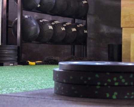 Imagem 2 da galeria do parceiro Pró-Life Academia