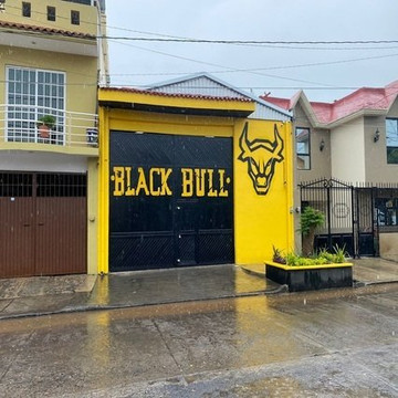 Imagen 1 de la galería del partner Black Bull elite fitness