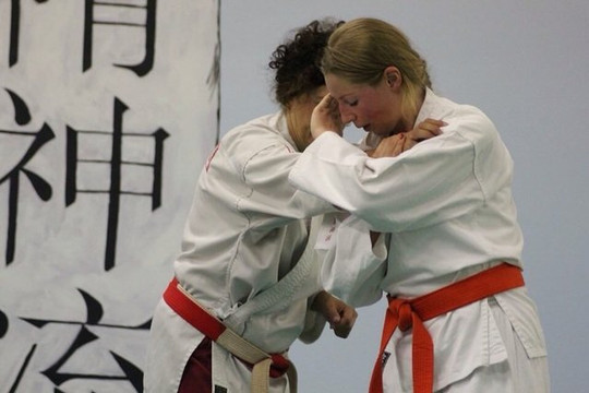 Immagine 1 dalla galleria del partner Palestra Bushido