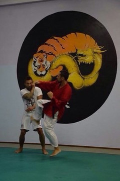 Immagine 3 dalla galleria del partner Palestra Bushido