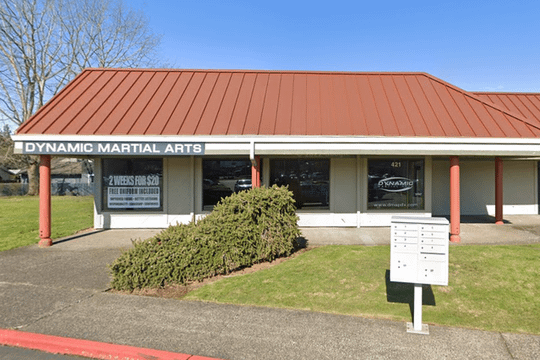 Image 2 from Dynamic Martial Arts partner gallery