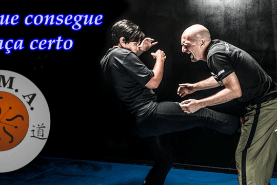 Imagem 2 da galeria do parceiro International Society Martial Arts – ISMA