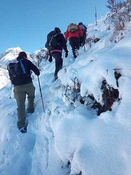 Imagen 3 de la galería del partner RUMBO VERTICAL