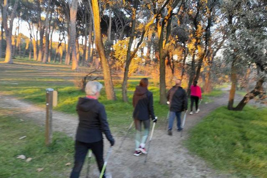 Imagen 2 de la galería del partner Nordic Walkers Dehesa Boyal