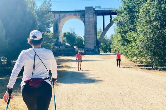 Imagen 3 de la galería del partner Nordic Walkers Dehesa Boyal