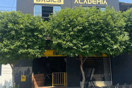 Imagem 2 da galeria do parceiro Academia Basics