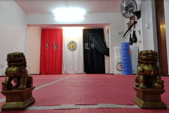 Imagen 3 de la galería del partner Liga Internacional de Pakua Godoy Cruz