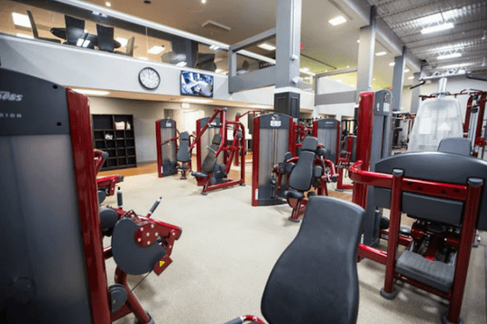 Image 3 from Wild Horse Fitness partner gallery