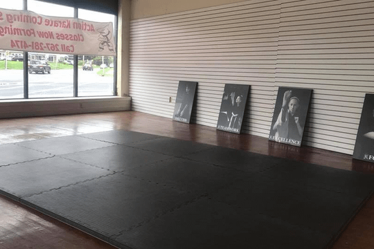 Image 1 from Action Karate Drexel Hill partner gallery