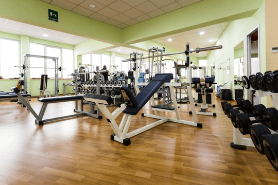 Immagine 1 dalla galleria del partner AL CENTRO DEL MOVIMENTO