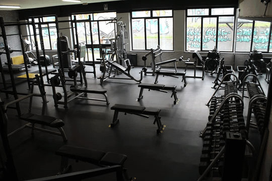 Immagine 3 dalla galleria del partner Palestra 10040