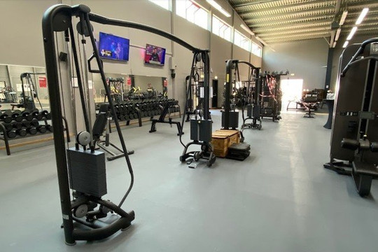 Bild 2 von Greenfit Mainz Partnergalerie