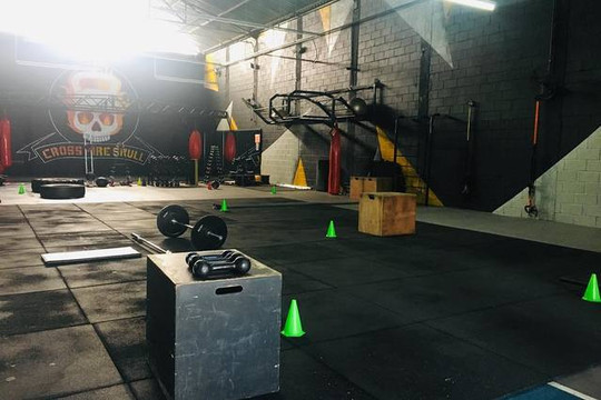 Imagem 1 da galeria do parceiro Cross Fire Skull