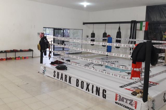 Imagen 3 de la galería del partner Shark Boxing Club