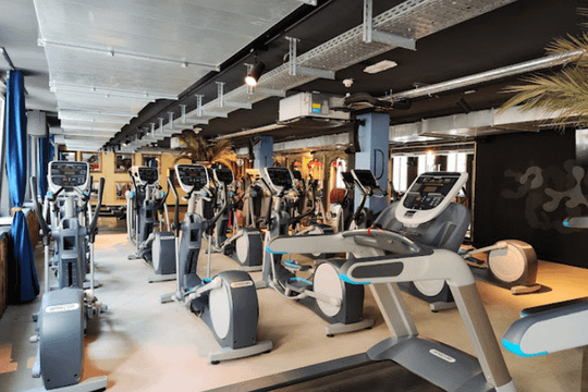 Bild 1 von John Reed Dresden Partnergalerie