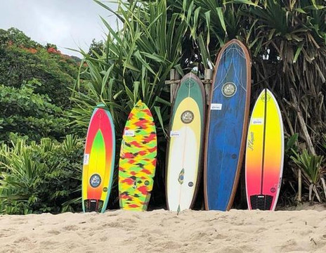 Imagem 1 da galeria do parceiro Surf's Up Club HI Adventure