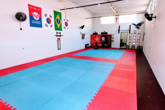 Imagem 1 da galeria do parceiro Instituto DokSuRi de Hapkido Un. 2