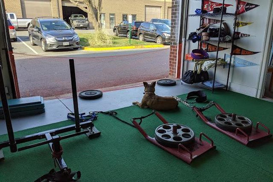 Image 2 from Strength and Performance Training Inc partner gallery