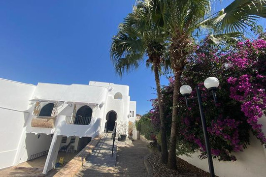 Imagem 2 da galeria do parceiro Instituto AFB