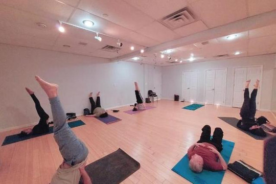 Image 2 from Forest Hills Yoga partner gallery