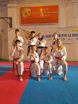 Immagine 3 dalla galleria del partner A.S.D. Lanterna Taekwondo Genova