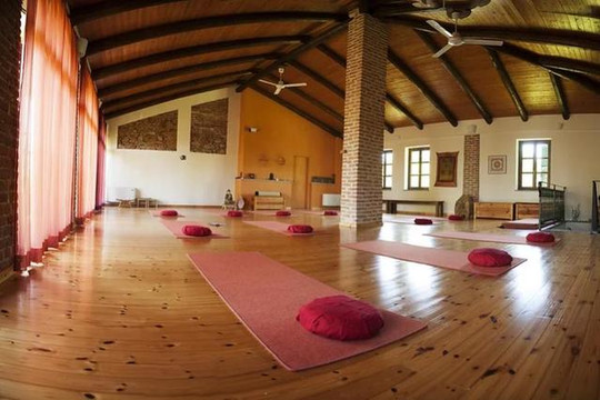 Immagine 3 dalla galleria del partner YogaSangha