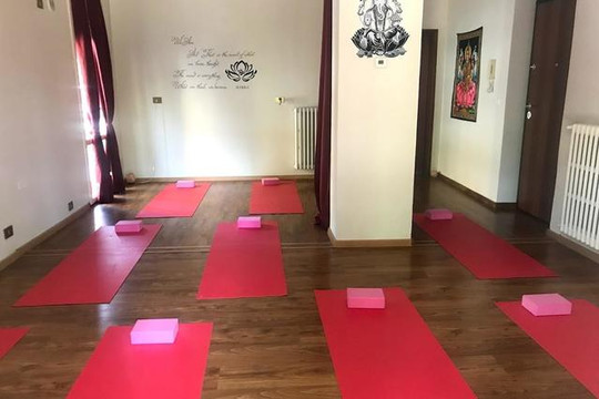 Immagine 1 dalla galleria del partner Yogamandosi di Francesca Dall'Asta Salso