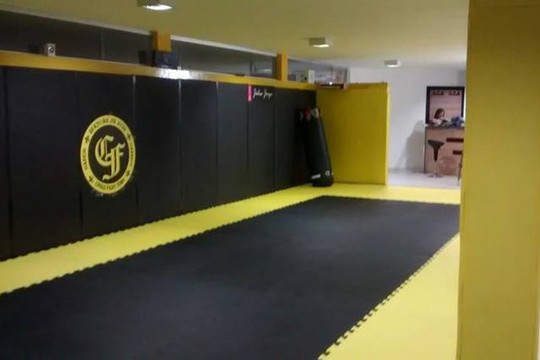 Imagem 2 da galeria do parceiro Cross Fight