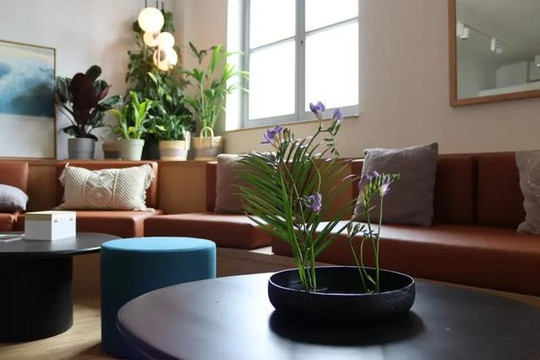 Bild 1 von Hardy’s Yoga House Partnergalerie