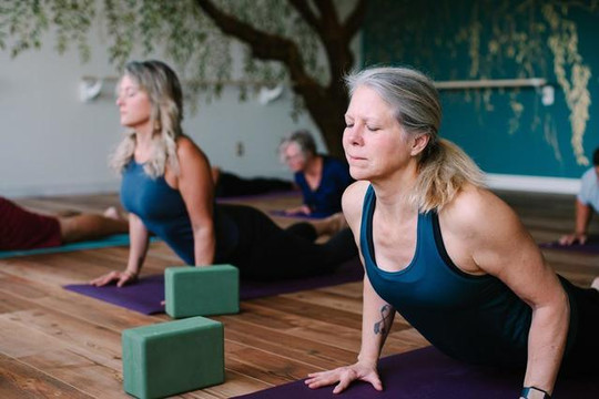 Image 3 from Willow Soul Yoga- Otsego partner gallery