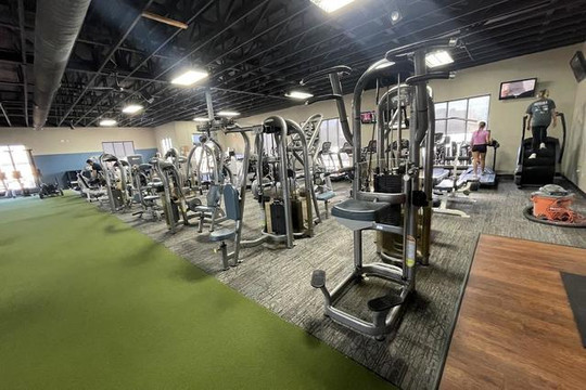 Image 2 from Rapid Fitness- Tea partner gallery