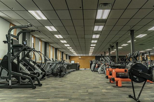 Image 3 from Ark Fitness partner gallery