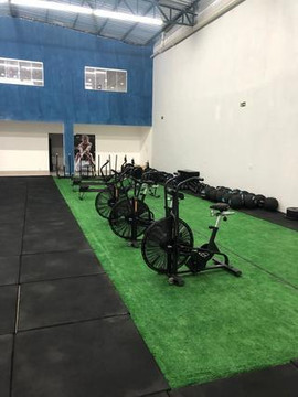 Imagem 2 da galeria do parceiro AR Arena Centro de Treinamento