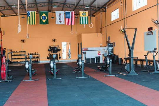 Imagem 2 da galeria do parceiro Jacob Performance 2