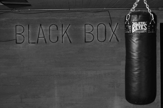 Imagen 1 de la galería del partner Black Box / Providencia