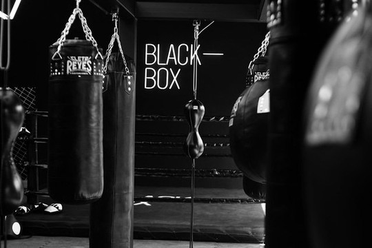 Imagen 3 de la galería del partner Black Box / Providencia