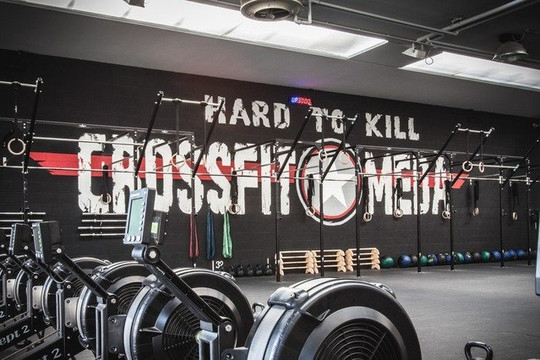 Immagine 1 dalla galleria del partner CrossFit Meda