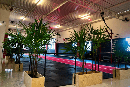 Imagem 2 da galeria do parceiro Funcional Fitness