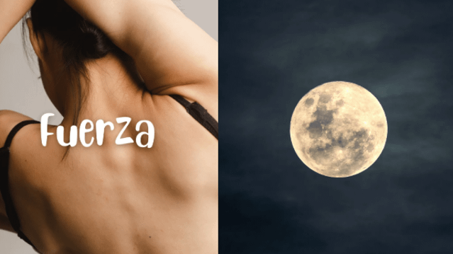 Imagen 2 de la galería del partner Libdo Monte Athos