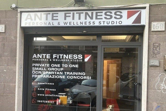 Immagine 2 dalla galleria del partner Ante Fitness - Monte Bianco