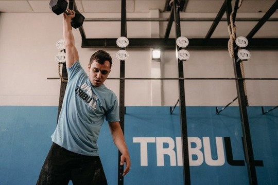 Imagem 1 da galeria do parceiro Tribull