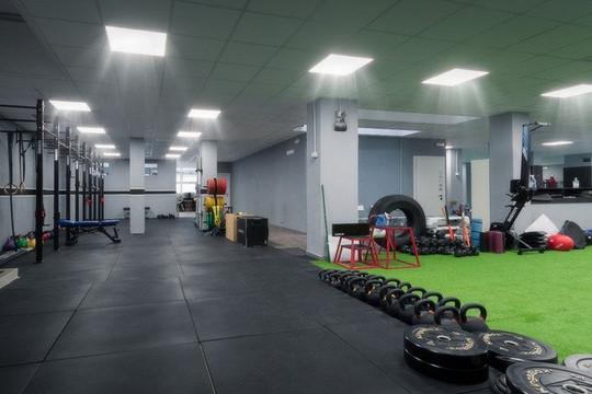 Immagine 1 dalla galleria del partner Daruma Pro