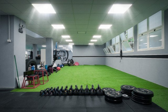 Immagine 3 dalla galleria del partner Daruma Pro