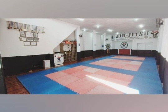Imagem 1 da galeria do parceiro GTF - Garage Training Fight