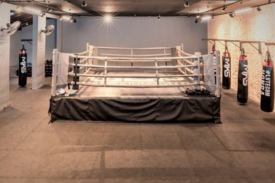 Imagem 1 da galeria do parceiro Wgp Fight Gym