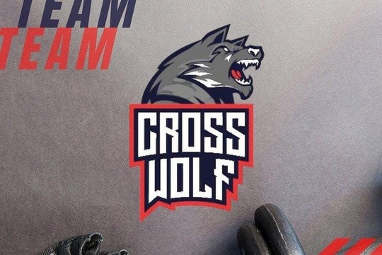 Imagem 1 da galeria do parceiro CrossWolf