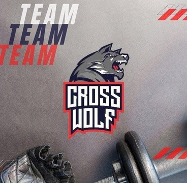 Imagem 2 da galeria do parceiro CrossWolf